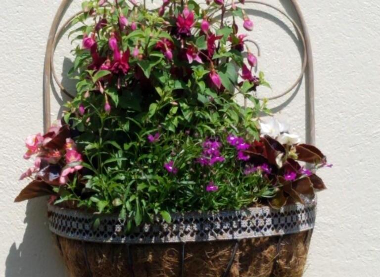 Eden S Rest Bed And Breakfast