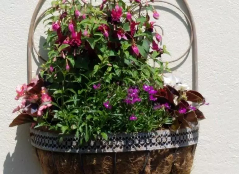 Eden S Rest Bed And Breakfast