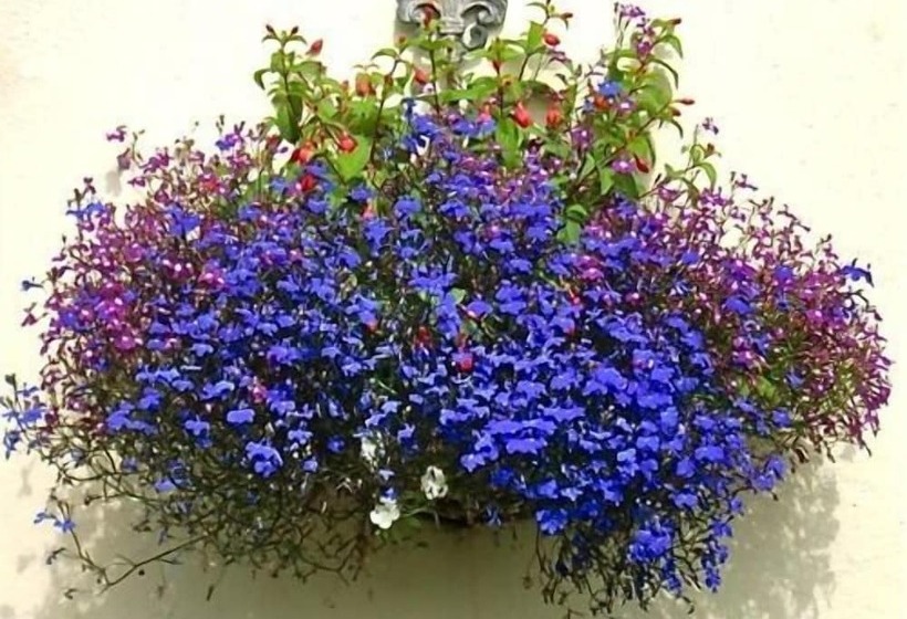 Eden S Rest Bed And Breakfast