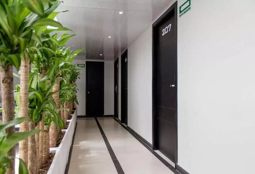 ホテル Metropolitano