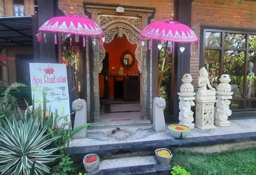 Отель Rambutan