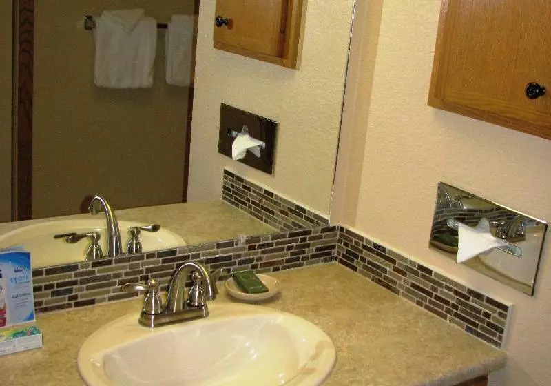 Отель Snowblaze Resort & Athletic Club