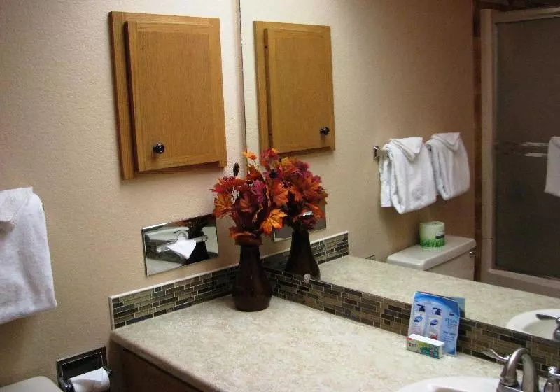 Отель Snowblaze Resort & Athletic Club