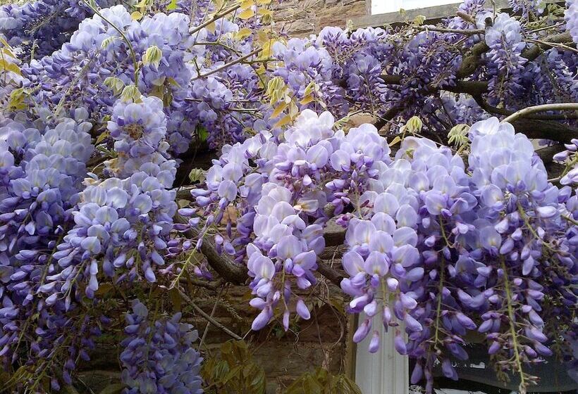 The Bowens Bed & Breakfast