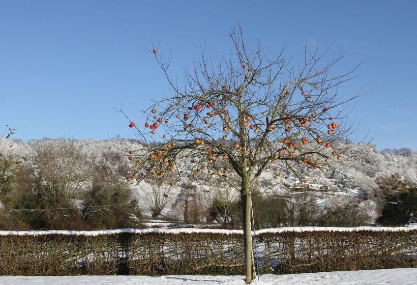 The Bowens Bed & Breakfast