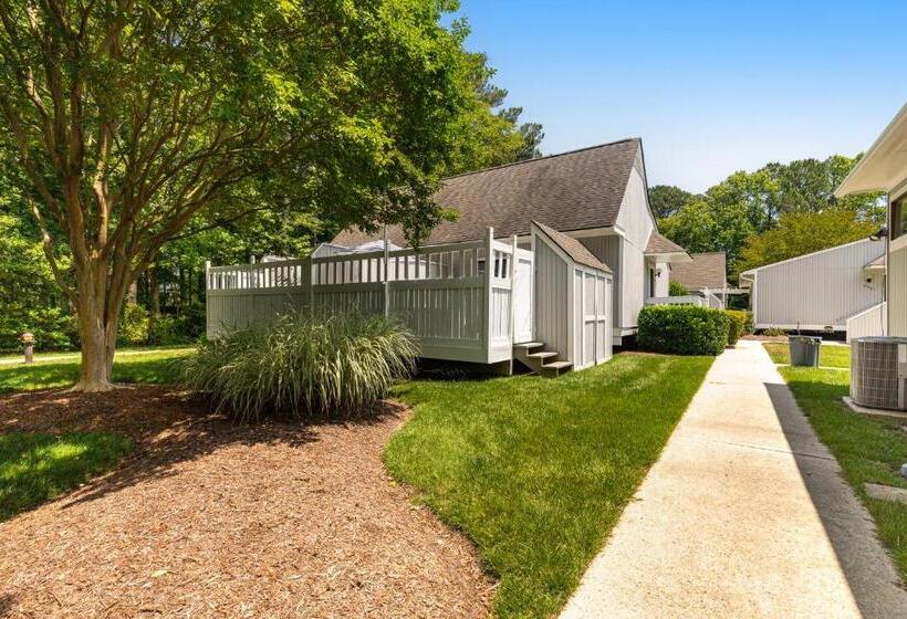 هتل Sea Colony   4503 Tie Breaker