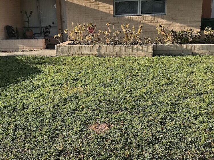 بنسيون Cozy Guest House Florida Tamarac