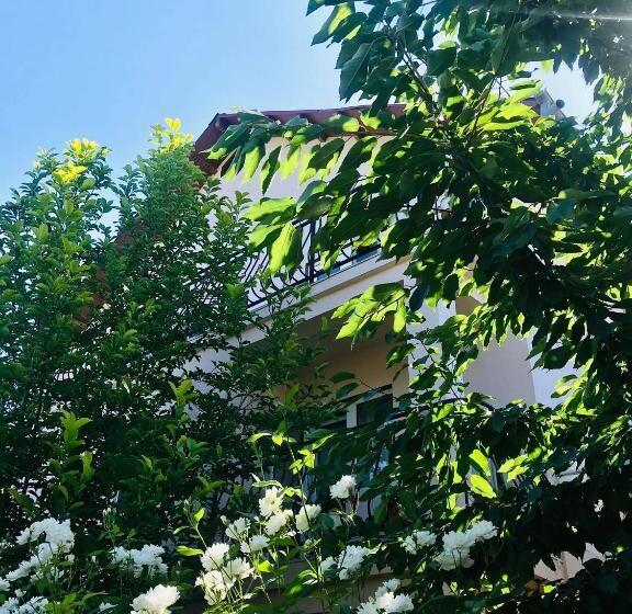 پانسیون Vila A&s