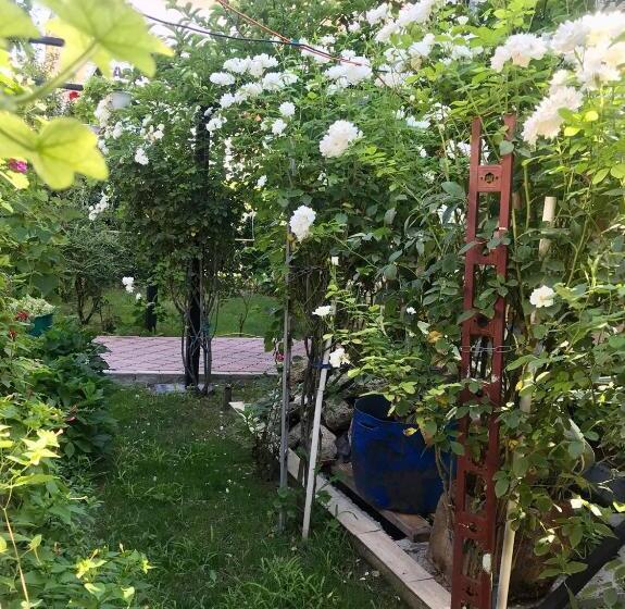 پانسیون Vila A&s