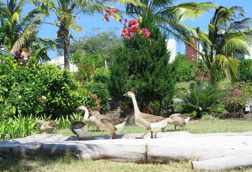 پانسیون Residence Foulsafat