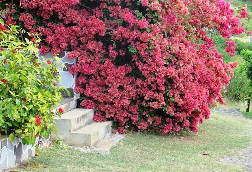 پانسیون Residence Foulsafat