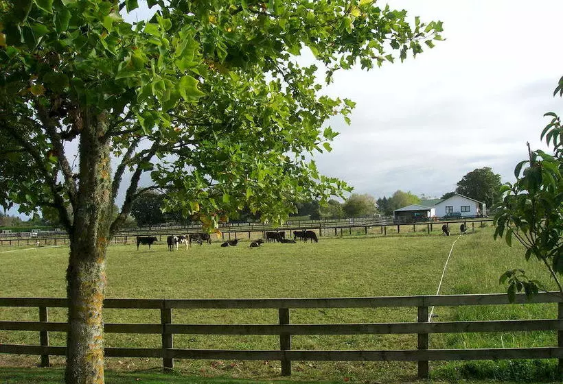 ベッドアンドブレックファースト Blairgowrie House