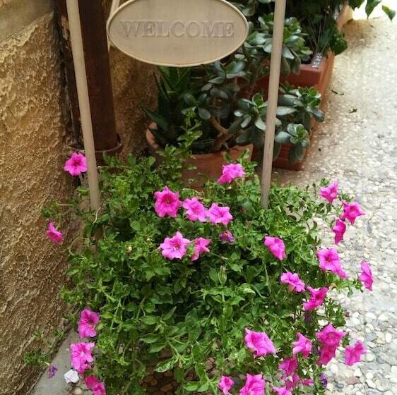 Bed and Breakfast Camere A Sud