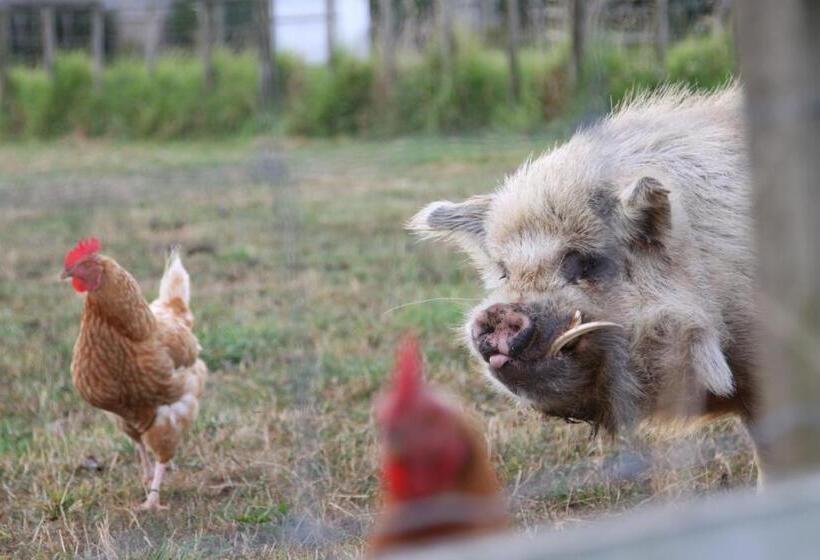 مبيت وإفطار Richmond Farm Lodge