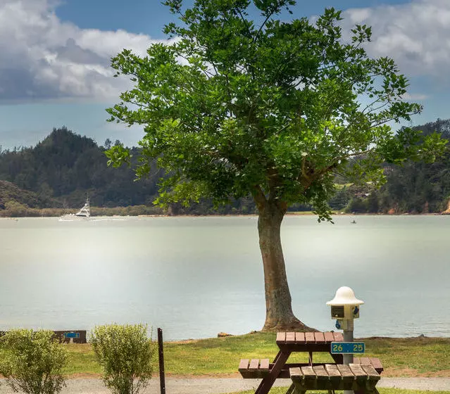 Szálloda Paihia Top 10 Holiday Park