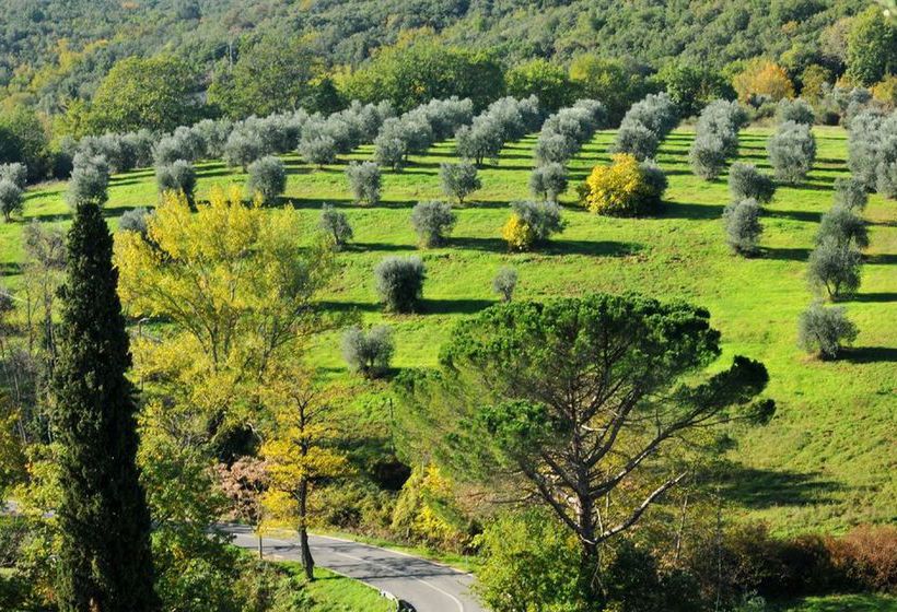 Отель La Fornace Di Racciano