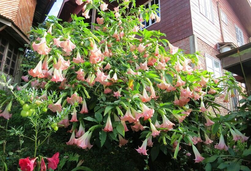 호텔 Mile 36 Lodge