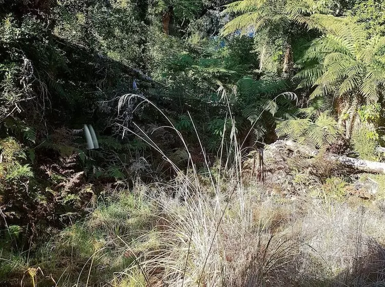 모텔 Aspen Court Franz Josef