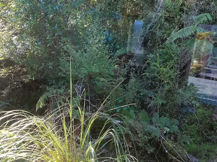 모텔 Aspen Court Franz Josef