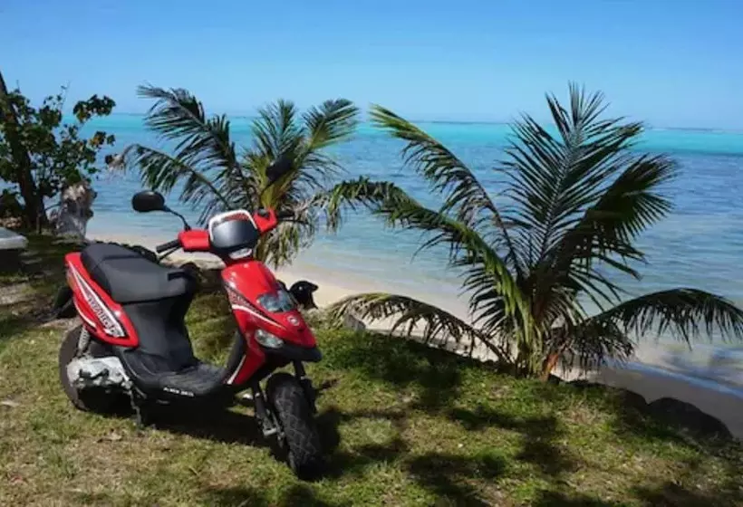 پانسیون La Perle Tahaa