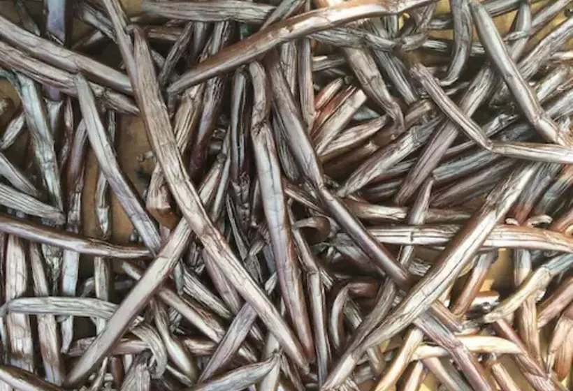 پانسیون La Perle Tahaa