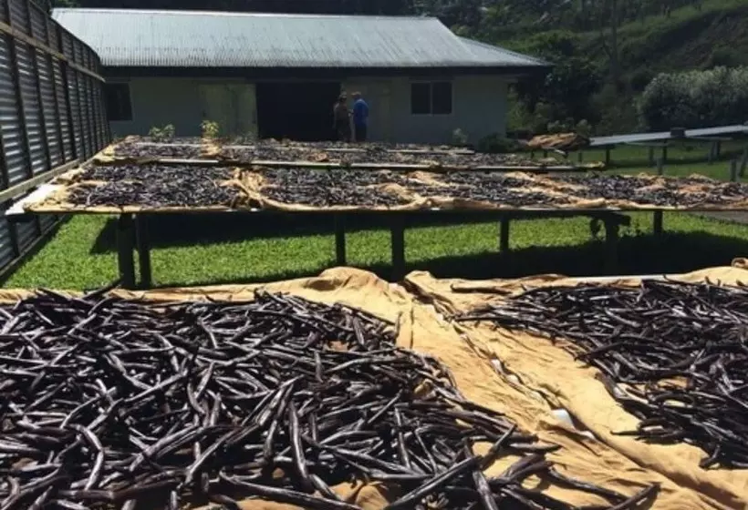 پانسیون La Perle Tahaa