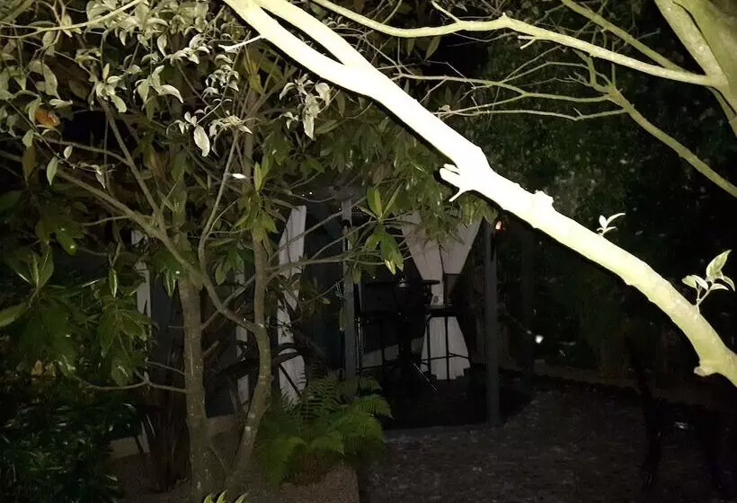 Ever Wanted To Go Off Grid,then This Is For You