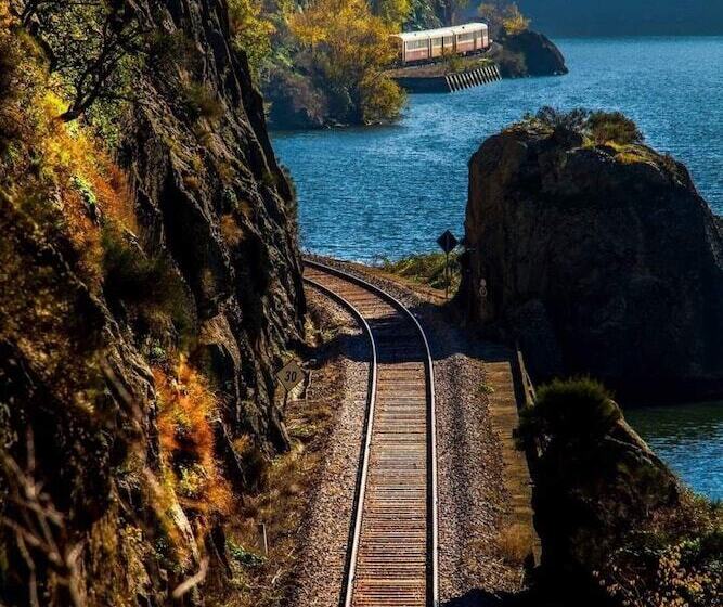 هتل Oporto Explorers