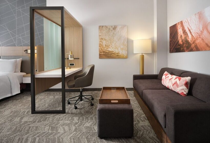 هتل Springhill Suites By Marriott Jacksonville Baymeadows