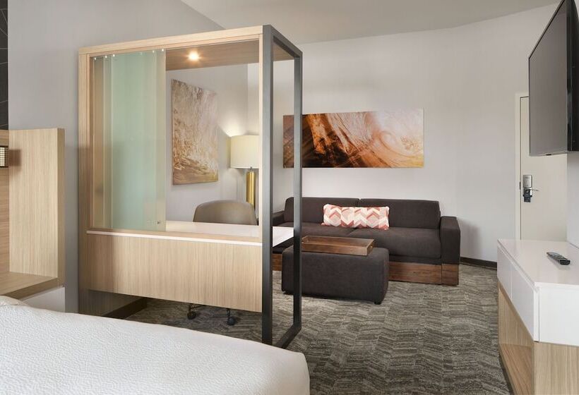 هتل Springhill Suites By Marriott Jacksonville Baymeadows