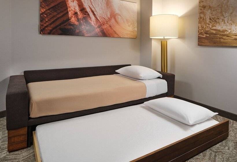 هتل Springhill Suites By Marriott Jacksonville Baymeadows