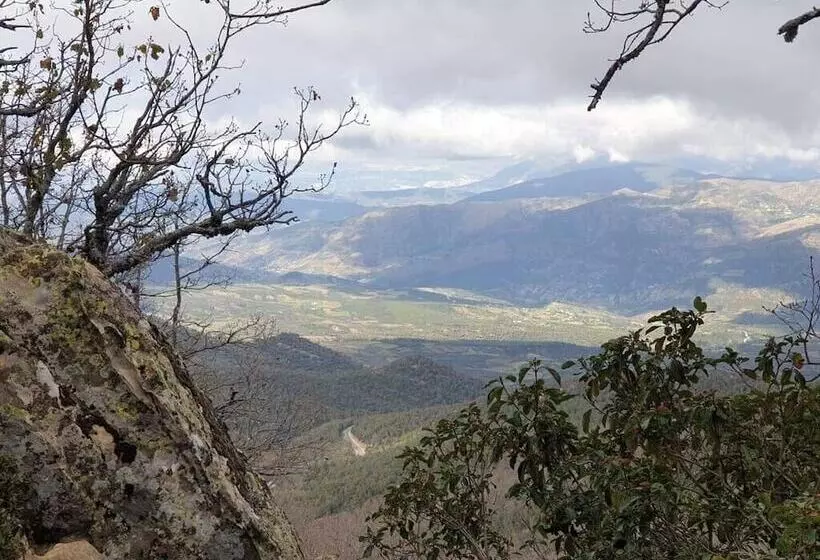 Majatalo Abou Hachem