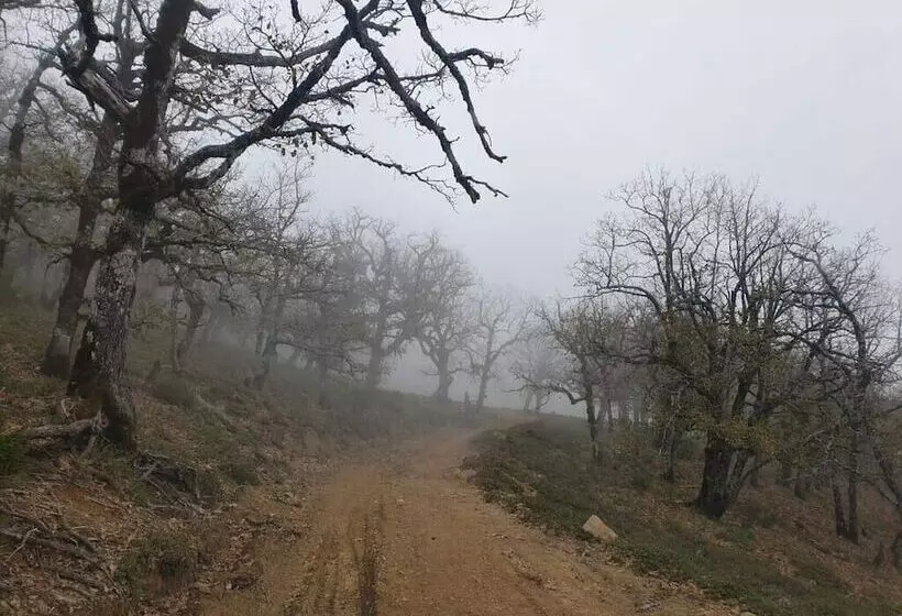 Majatalo Abou Hachem