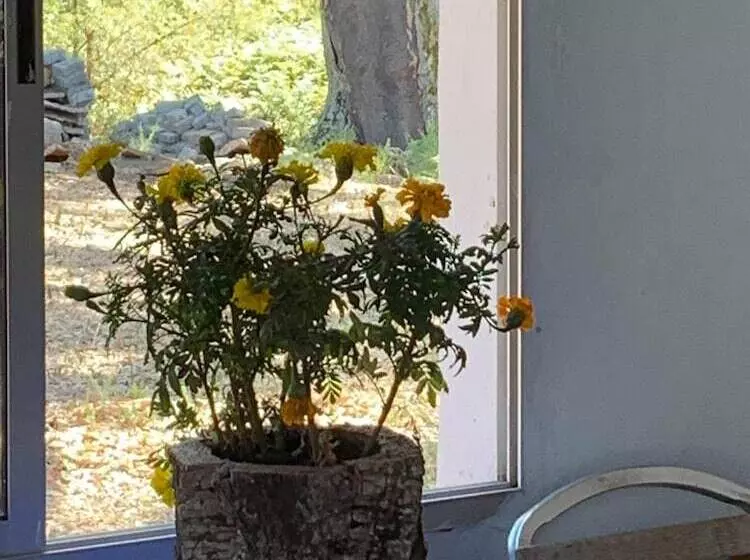 Majatalo Abou Hachem