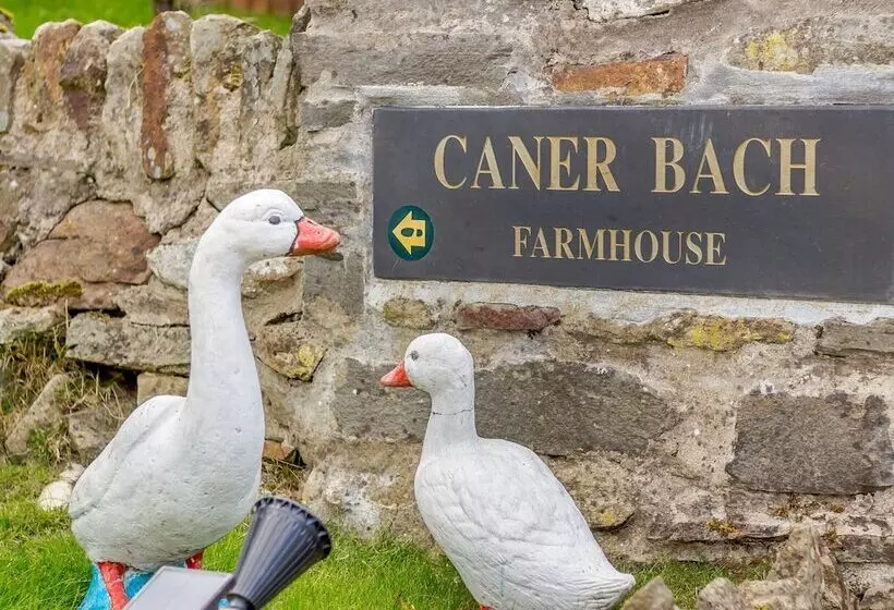 Caner Bach Lodge