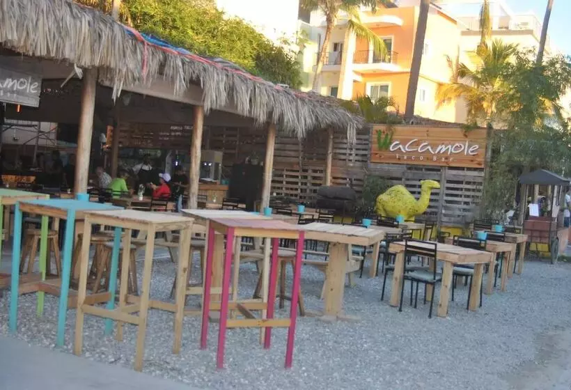 Ecoarthostal   Hostel