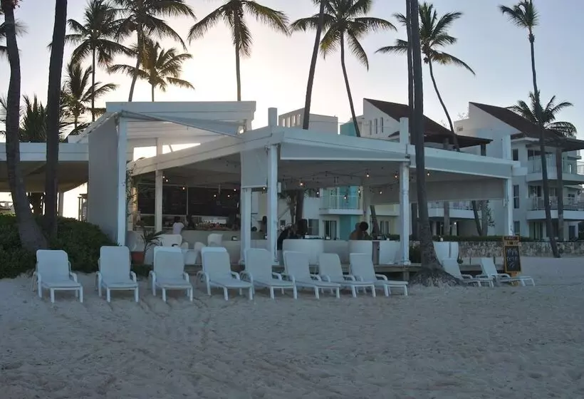 Ecoarthostal   Hostel