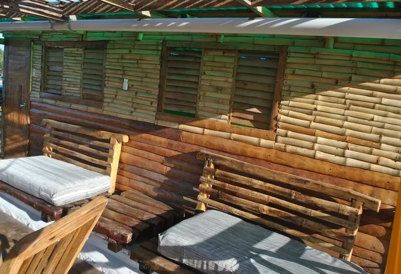 Ecoarthostal   Hostel