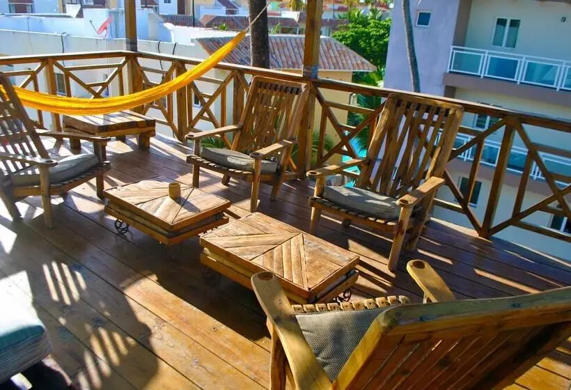 Ecoarthostal   Hostel