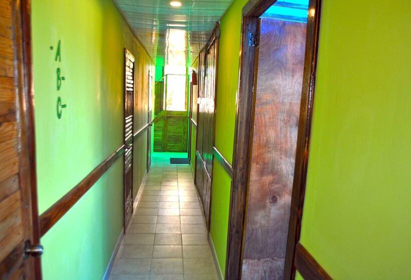 Ecoarthostal Hostel