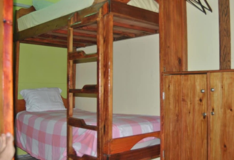 Ecoarthostal Hostel
