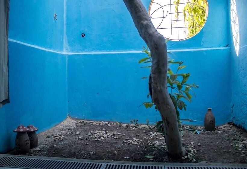 Hostal Sopro De Iemanja   Hostel