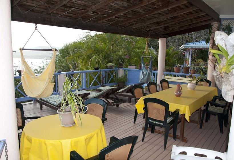 هتل Villa Caribbean Dream