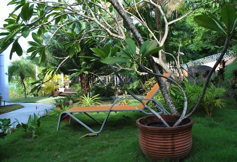 هتل Villa Caribbean Dream