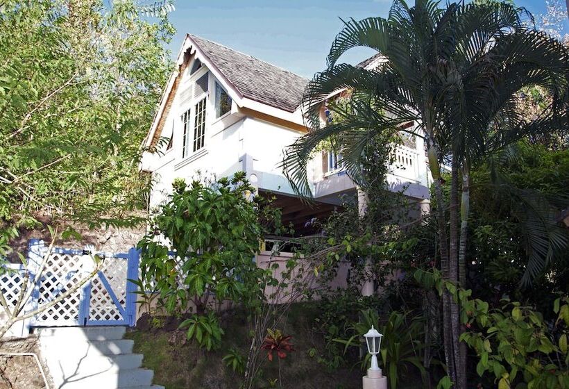 هتل Villa Caribbean Dream