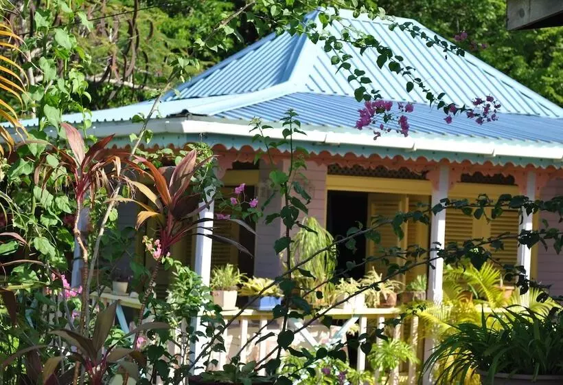 هتل Villa Caribbean Dream