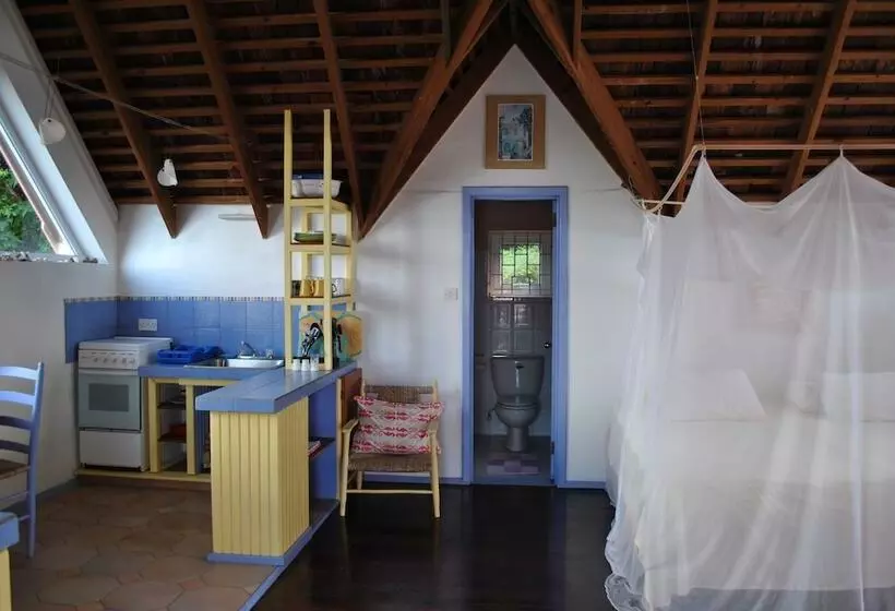 هتل Villa Caribbean Dream
