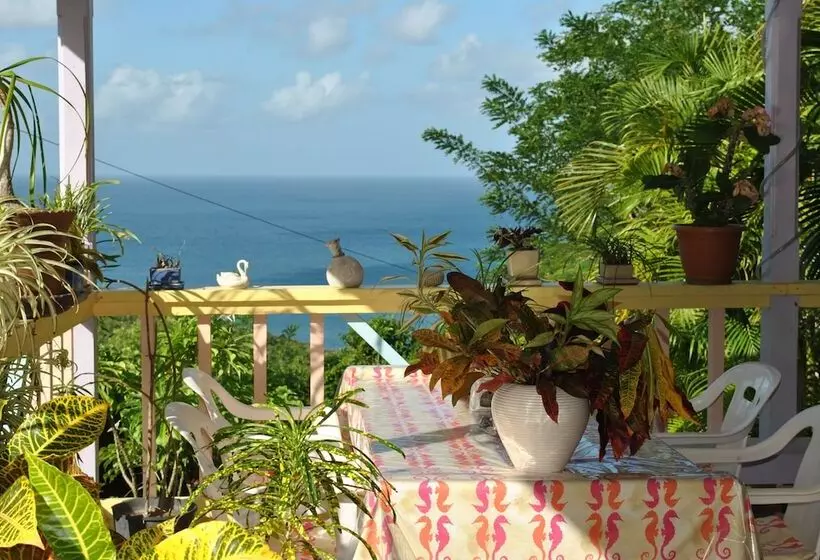 هتل Villa Caribbean Dream