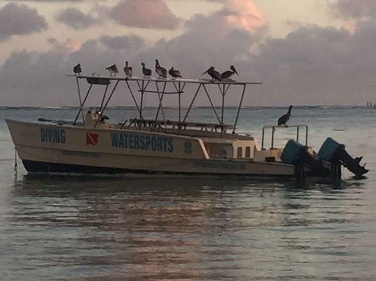 پانسیون Hostel Hilet Punta Cana