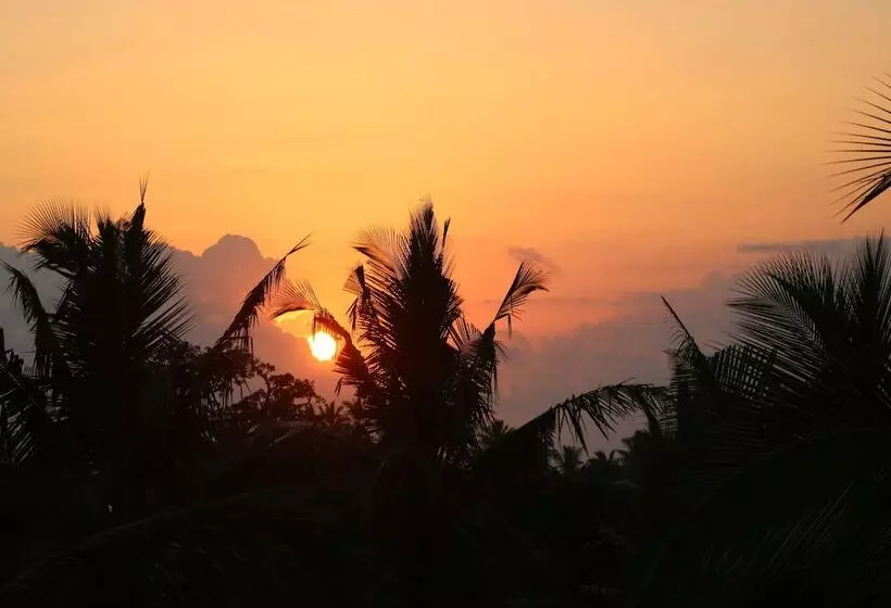 پانسیون Kivuli Villas Diani